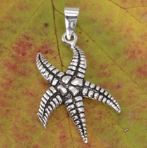 Silver pendant starfish, ethno pendant power animal talisman