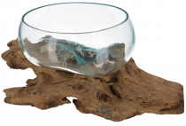 Burl wood vase, bowl, dish - Ø glass 30 cm M7