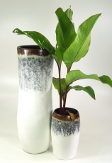 Vase, planter, planter made of palm wood