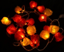 Flower LED light chain 20 pcs. Rose - red/yellow/orange