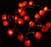 Flower LED light chain 20 pcs. Rose - orange/red